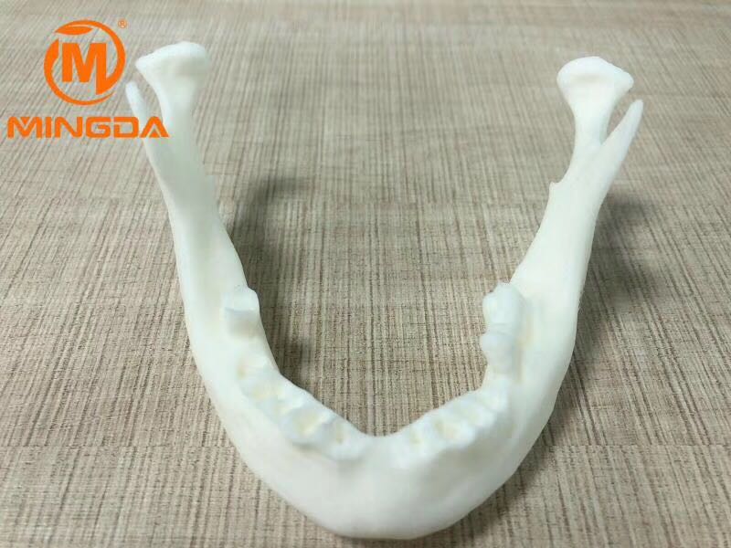 工業(yè)級3D打印機在牙科行業(yè)的應(yīng)用(圖2) 工業(yè)級3D打印機在牙科行業(yè)的應(yīng)用(圖2)